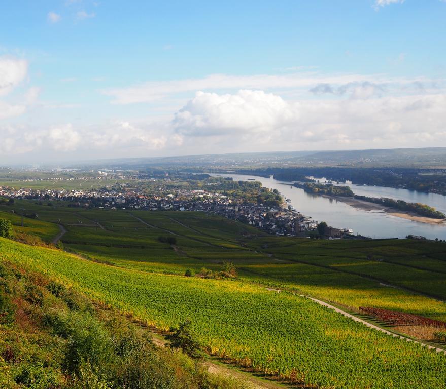 Gasthaus Weingut Stahl Oberwesel Εξωτερικό φωτογραφία