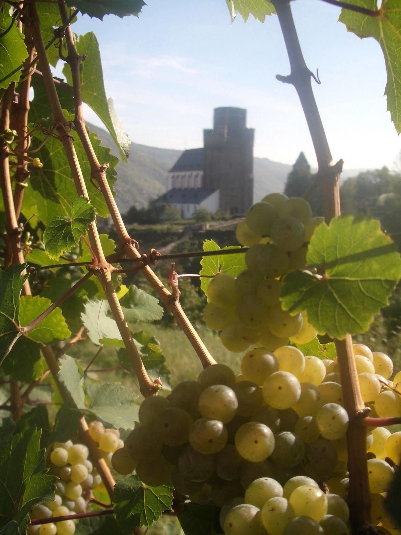Gasthaus Weingut Stahl Oberwesel Εξωτερικό φωτογραφία
