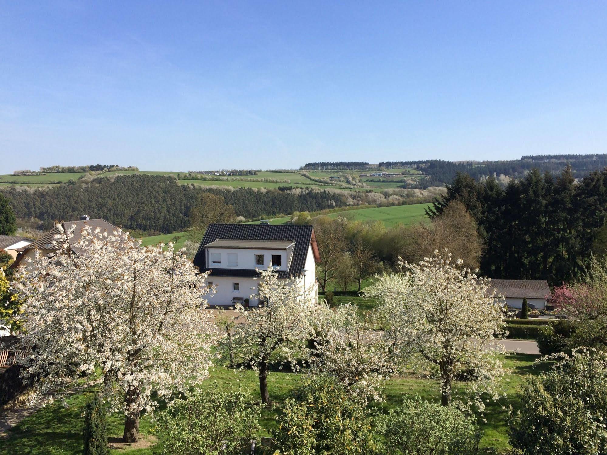Gasthaus Weingut Stahl Oberwesel Εξωτερικό φωτογραφία